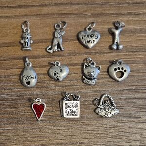 Silver Charm Collection for Kids